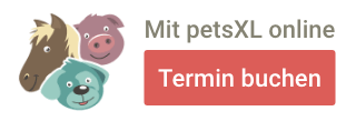 petsXL - Termin buchen